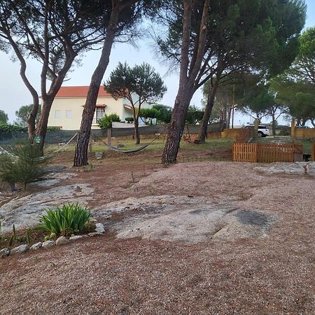 Casas De Campo Villa D'Almeida Travancinha Εξωτερικό φωτογραφία