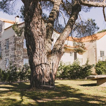 Casas De Campo Villa D'Almeida Travancinha Εξωτερικό φωτογραφία